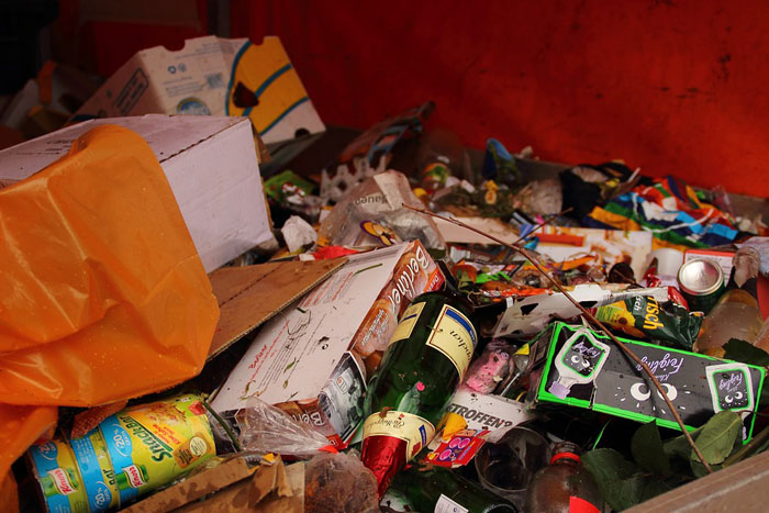Волгоградцы завалили регион новогодним мусором