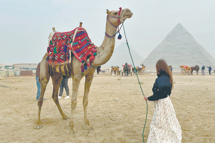 Путь в Город мертвых сквозь города живых