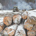 Леса восстановили после вырубок, но это не точно Леса восстановили после вырубок, но это не точно
