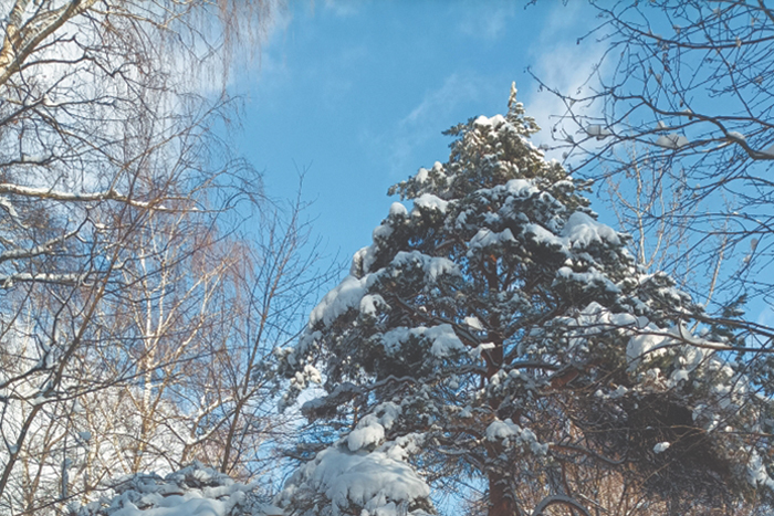 Нещадно клюя конкурентов