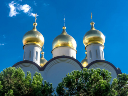 украина, церковь, пцу, религиозные общины, закон, права верующих, правозащитники, рарс, мбпч