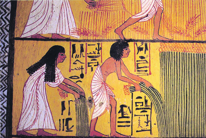 Оказывается, древние египтяне занимались генной инженерией