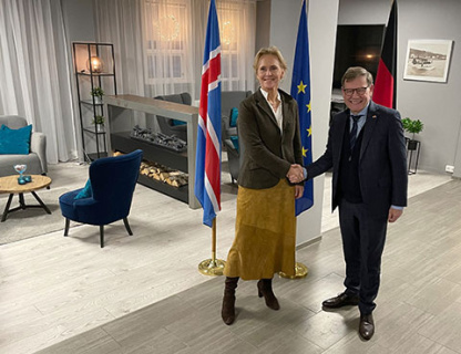 фрг, мид, сша, рубио, трамп, высказывания о гренландии, украинский конфликт, антироссийские санкции