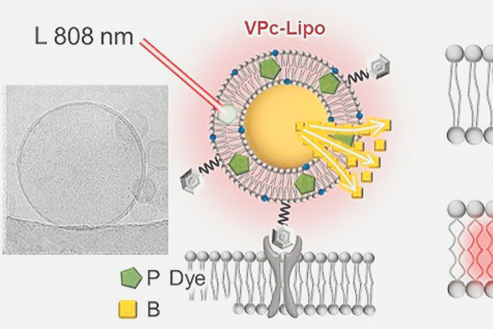 Почему солнце лечит рахит