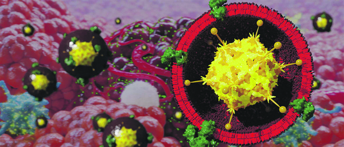 Как помочь иммунитету с помощью микроводорослей и лазерного излучения