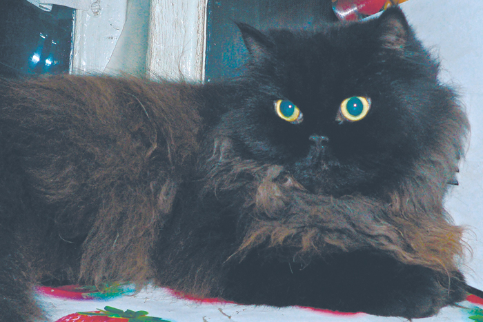 Освободиться от шкафа