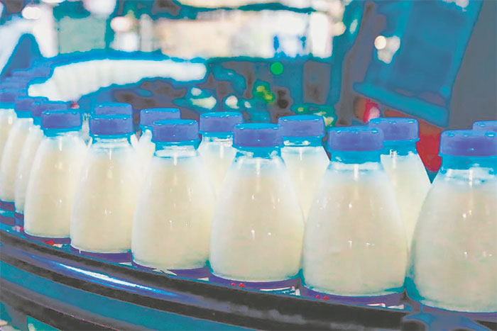 Кишинев и Киев поссорились из-за кур