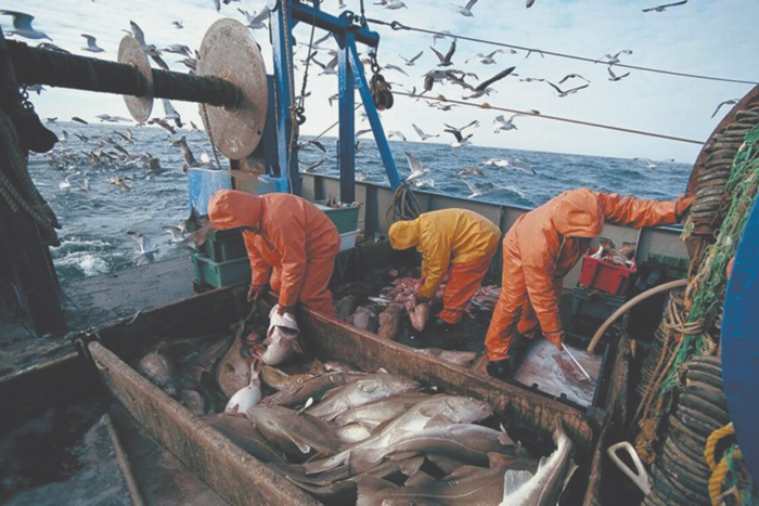 28 килограммов рыбы на россиянина: стратегические планы и реальность