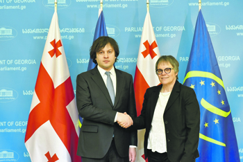 Совет Европы продолжит прилагать усилия для мирного урегулирования с Абхазией и Южной Осетией