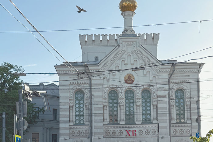 Яблоки на спине у ежика