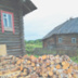 Василий и его друзья