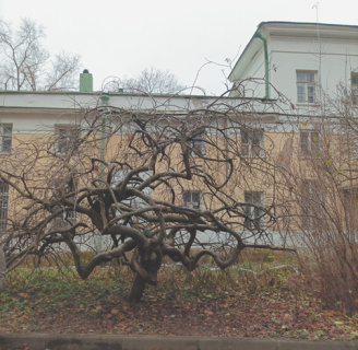 поэзия, лирика, москва