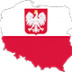 Поляки не проголосуют за президента 10 мая