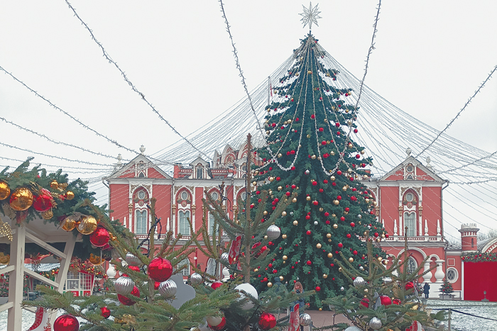 В роли елки – дикобраз