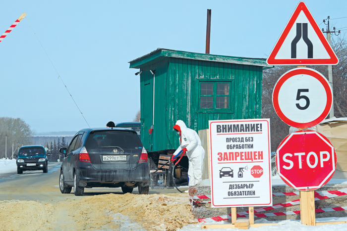 Фото недели. Регионы проводят ветеринарную спецоперацию