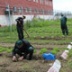 Автоматического освобождения не будет Автоматического освобождения не будет