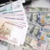 Платная медицина и образование провоцируют низовую коррупцию Платная медицина и образование провоцируют низовую коррупцию
