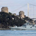 Закроет ли Турция для военных кораблей России Босфор и Дарданеллы