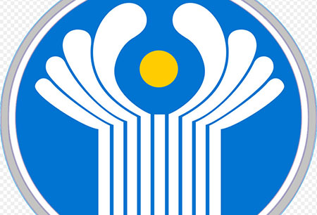 снг, одкб, еаэс, нейтралитет, военная спецоперация, оборона, донбасс, рф, украина