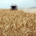 Медведев призвал удвоить экспорт российской сельхозпродукции Медведев призвал удвоить экспорт российской сельхозпродукции