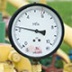 У России нет 100-процентной гарантии возврата украинского долга за газ У России нет 100-процентной гарантии возврата украинского долга за газ