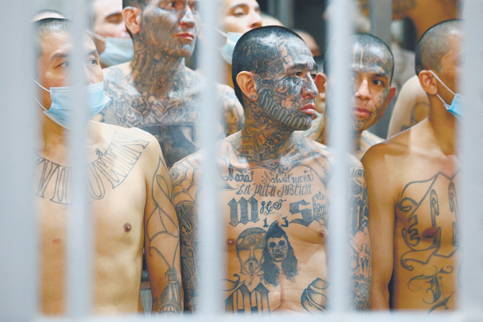 За татуировку – за решетку