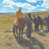 Спецоперация вернула ламу Калмыкии к месту предыдущего рождения