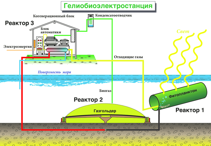 Проект биогаза Азовского моря