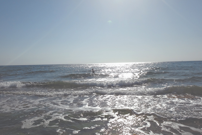 Сверчки, просоленные ветром