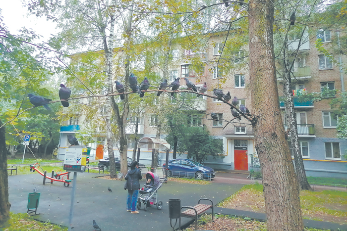 Легкое дыхание страсти