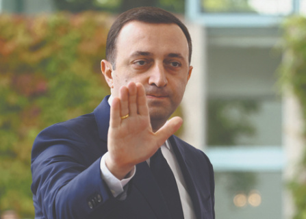 грузия, премьер, гарибашвили, статус, ес, общество, поляризация, саакашвили, оппозиция, украинский кризис