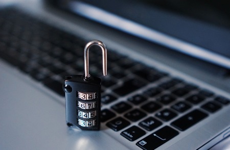 кибермошенничество, федоров, фишинг, майнинг, умные устройства, honeypots