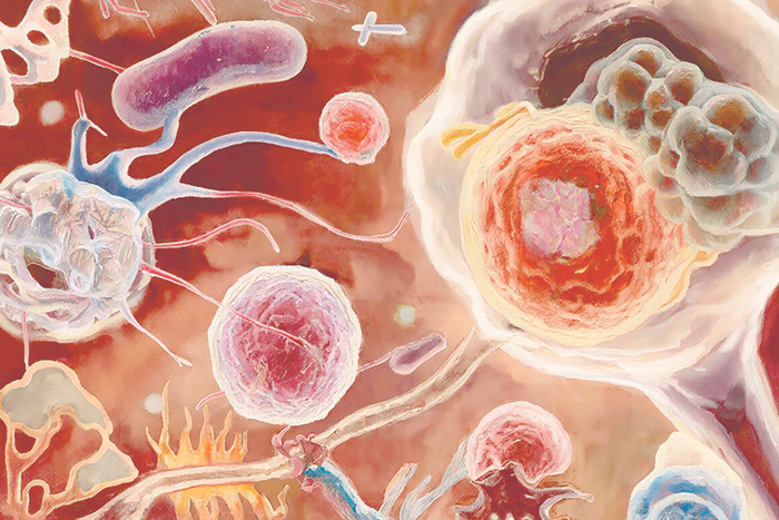 Протеиновые бочки с генетической информацией
