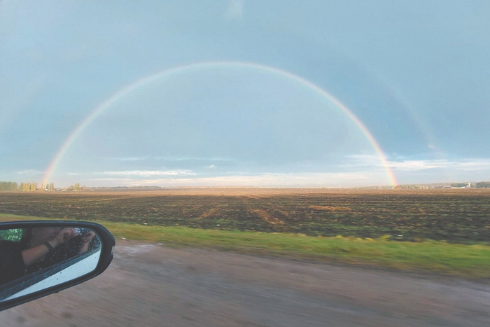 Степное море