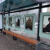 Болельщиков мундиаля в Волгограде встретят картины Шишкина и Репина
