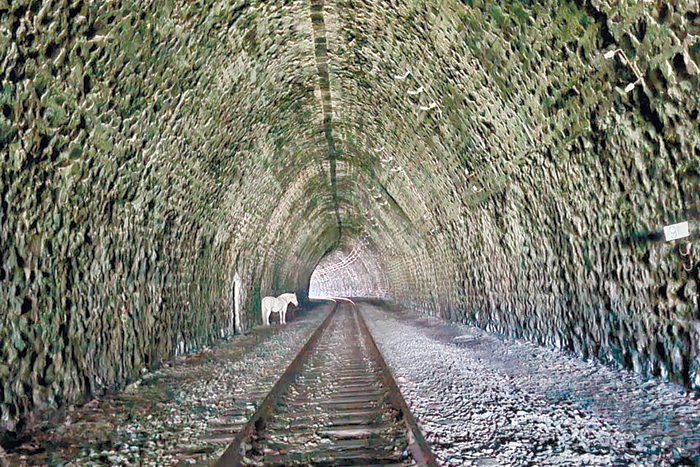 Из сибирского индивидуализма к свободе творчества