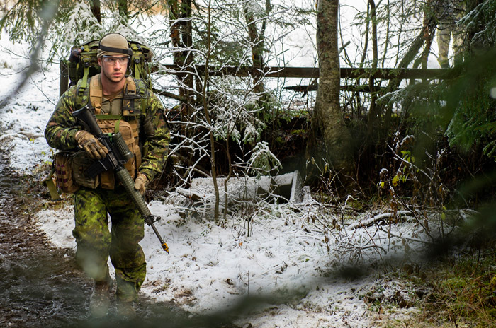 Войскам НАТО в Норвегии пора закупать теплые носки и вспомнить, кто контролирует Арктику