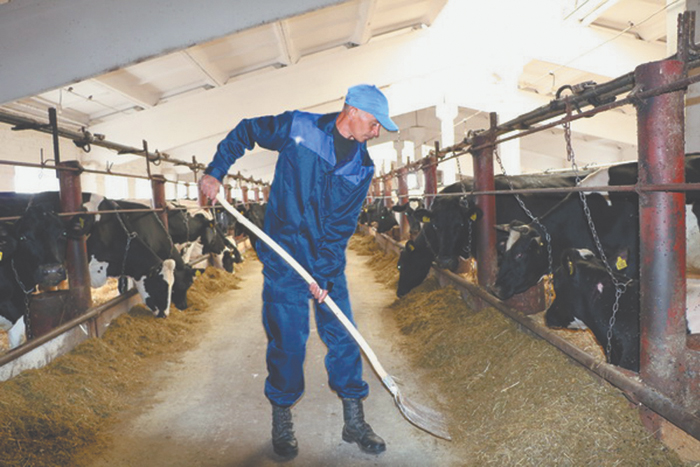 Принудительные работы подвергнут гуманизации