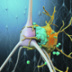 Как защитить нейроны от бляшек Альцгеймера