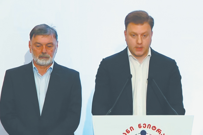 Грузии предложили отказаться от вступления в ЕС