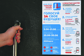 конституция, поправки, плебесцит, москва, электронное голосование, заявки