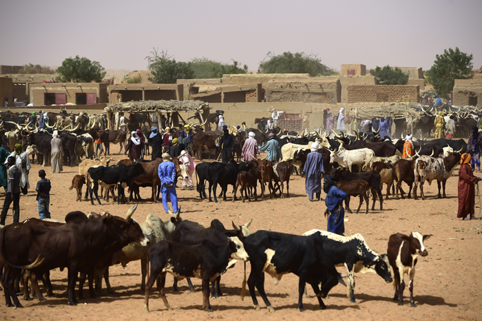 После выборов Мали надеется обрести мир