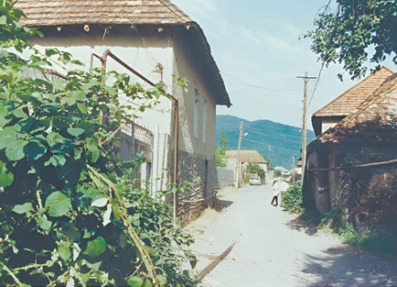 история, этнография, евреи