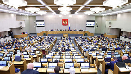 власть, госдума, законодательство, гражданство, уголовный кодекс