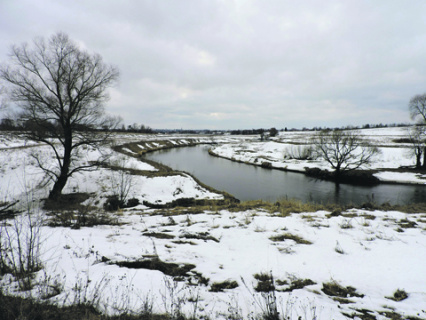 коронавирус, пандемия, covid-19, вакцина, вакцинация, общество