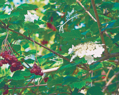 проза, философия, возраст, маршрутка