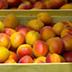 Десять тонн абрикосов из Армении раздали в Москве во время церковного праздника