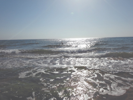 поэзия, волошинский фестиваль, коктебель