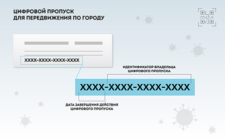 Основные правила и этапы введения цифровых пропусков в Москве (ТЕКСТ и ГРАФИКА)