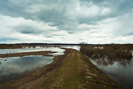 мурманская область, паводки, кольский район, александр лихолат, курьезы, ковер